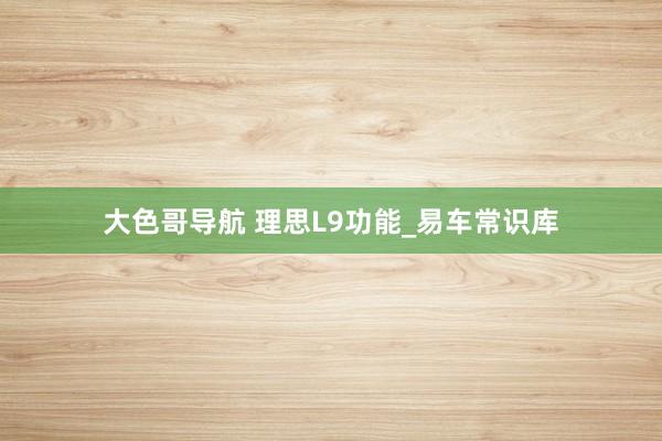大色哥导航 理思L9功能_易车常识库