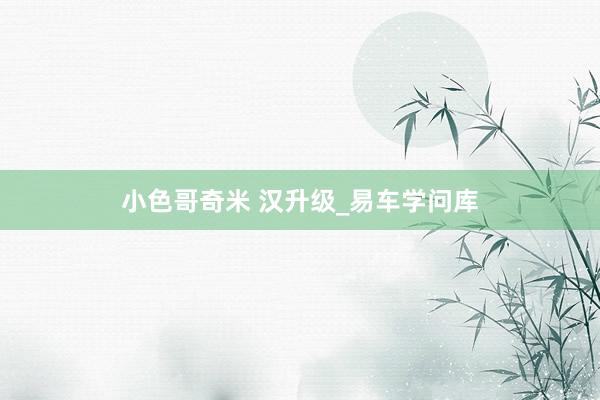 小色哥奇米 汉升级_易车学问库