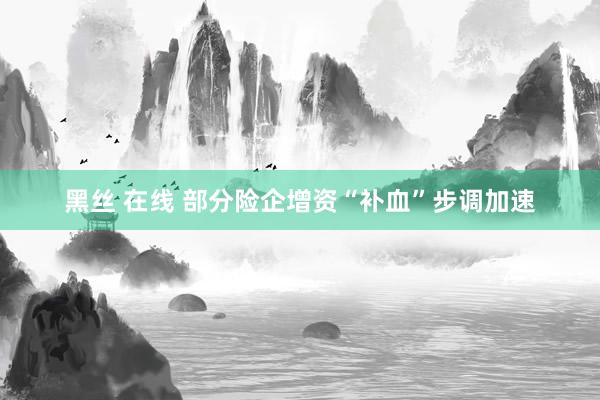 黑丝 在线 部分险企增资“补血”步调加速