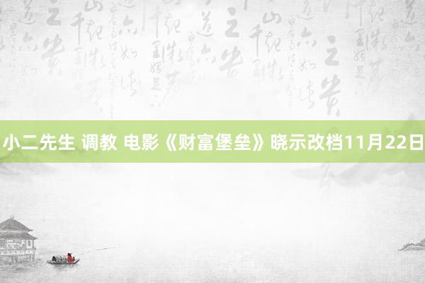 小二先生 调教 电影《财富堡垒》晓示改档11月22日