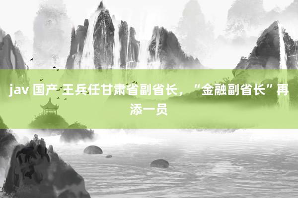 jav 国产 王兵任甘肃省副省长，“金融副省长”再添一员
