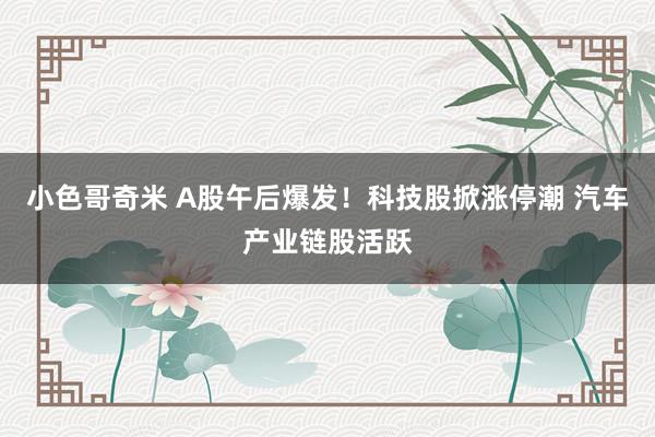 小色哥奇米 A股午后爆发！科技股掀涨停潮 汽车产业链股活跃