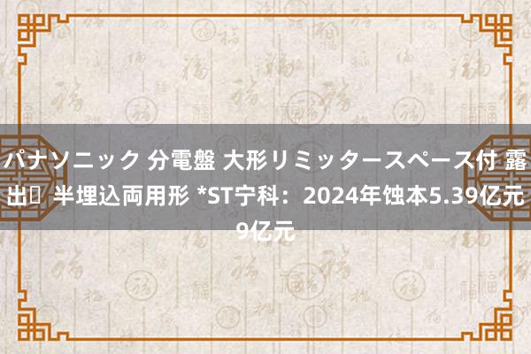 パナソニック 分電盤 大形リミッタースペース付 露出・半埋込両用形 *ST宁科：2024年蚀本5.39亿元