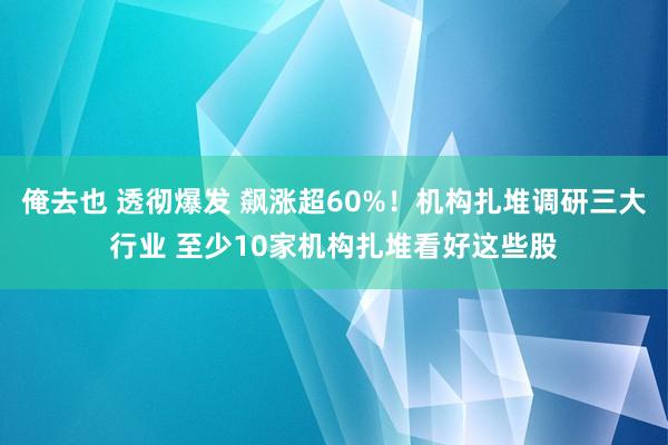 俺去也 透彻爆发 飙涨超60%！机构扎堆调研三大行业 至少10家机构扎堆看好这些股