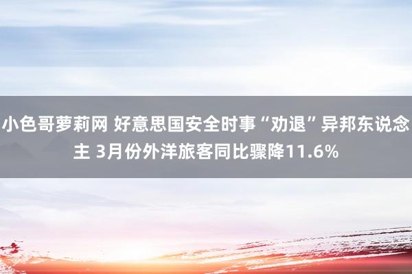 小色哥萝莉网 好意思国安全时事“劝退”异邦东说念主 3月份外洋旅客同比骤降11.6%