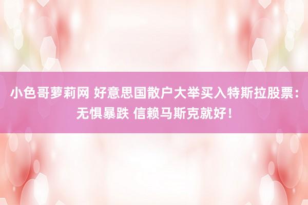 小色哥萝莉网 好意思国散户大举买入特斯拉股票：无惧暴跌 信赖马斯克就好！