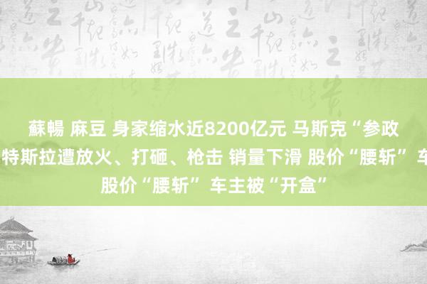 蘇暢 麻豆 身家缩水近8200亿元 马斯克“参政”引火烧身！特斯拉遭放火、打砸、枪击 销量下滑 股价“腰斩” 车主被“开盒”
